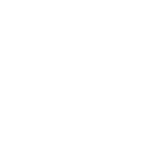 Rolling Grape | Vineyard