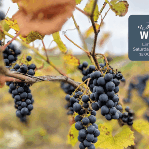 Mother's Day Wine Tours